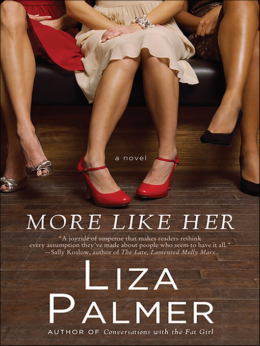 Title details for More Like Her by Liza Palmer - Wait list